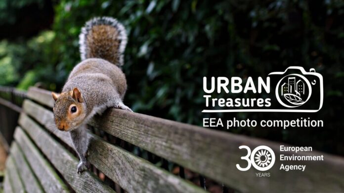 urban_treasures_-_european_environment_agency_photo_competition_